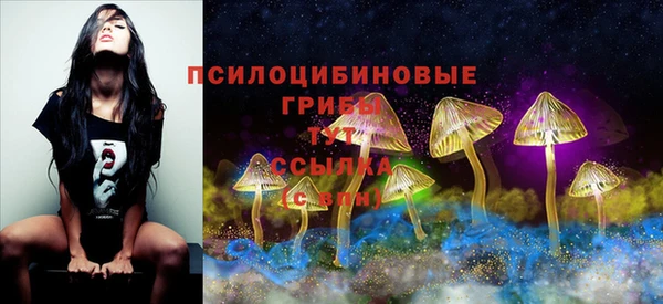 первитин Заволжье