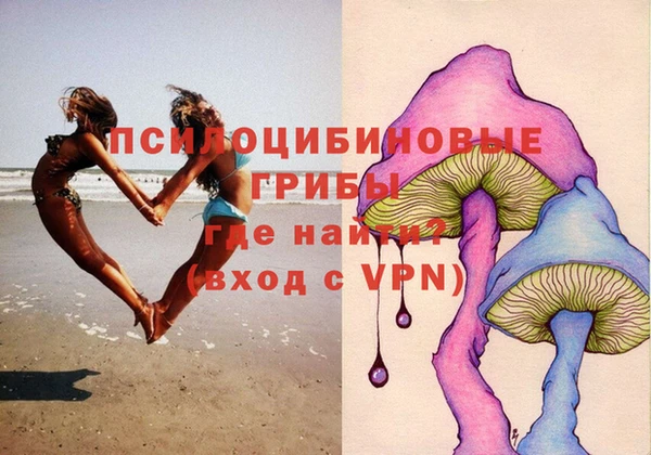 гидропоника Заводоуковск