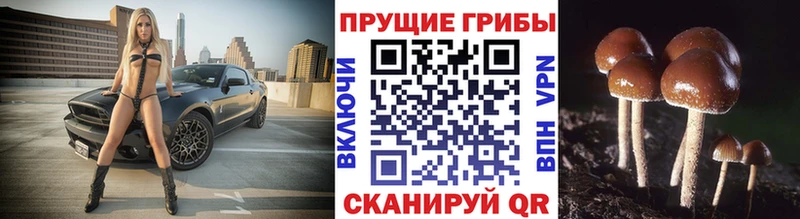 купить наркотики цена  Киров  блэк спрут маркетплейс  Галлюциногенные грибы мухоморы 